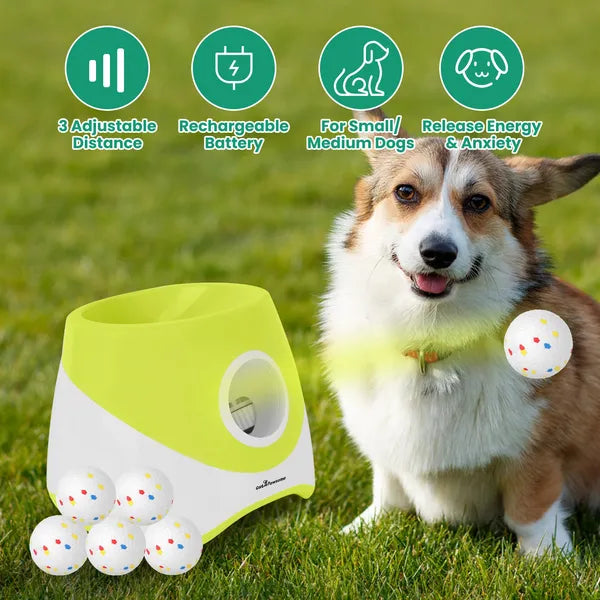 Auto Fetch Ball Launcher on grass beside a corgi
